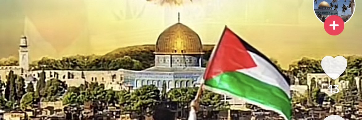 WHinnawi's profile banner image