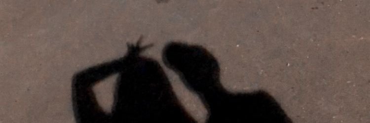 baby shark banner