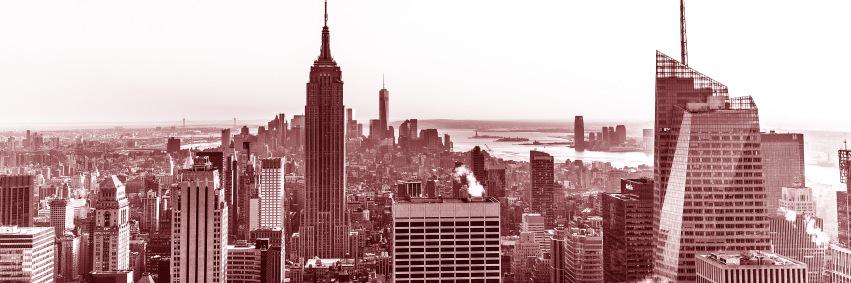 POLITICO New York banner