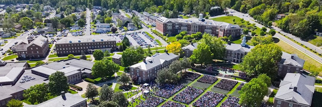 Lisa Throckmorton banner