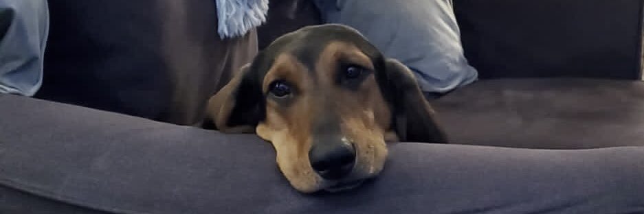 Julia Grzymkowski, PhD banner