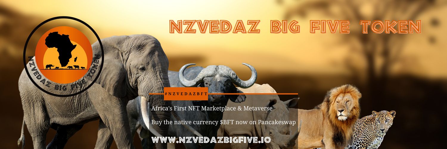 Nzvedaz Big Five banner