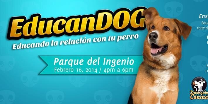 RvMiMascota's profile banner image