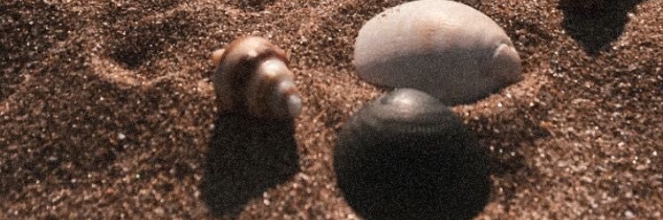stefysammy28's profile banner image