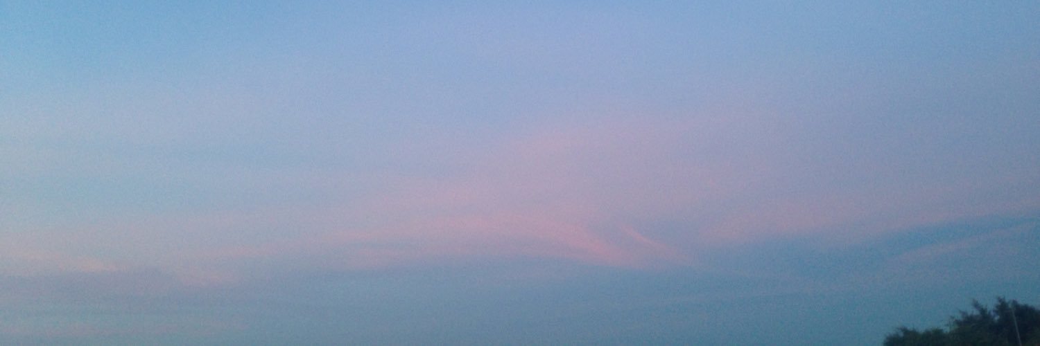 evandryx's profile banner image