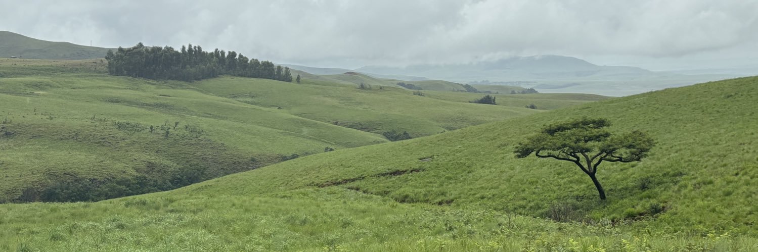 Jeanette Verster banner