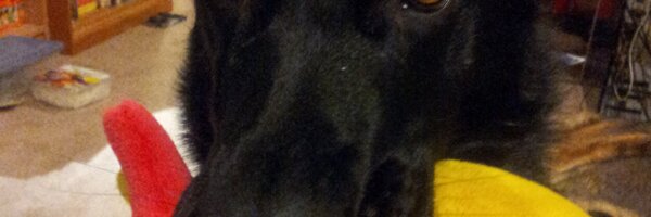ChellyRoll33 Profile Banner