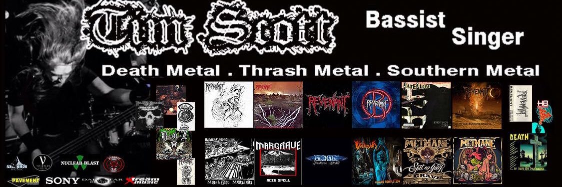 Tim Scott banner