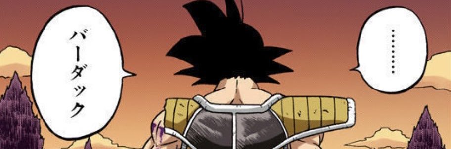Bardock banner