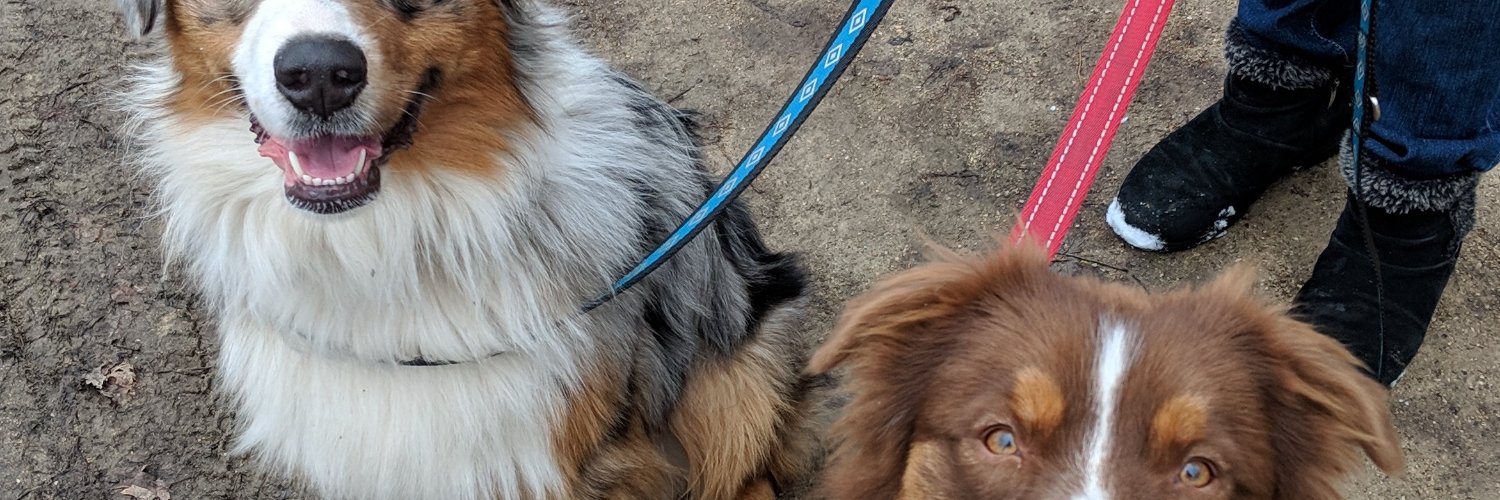 testhelpertext banner