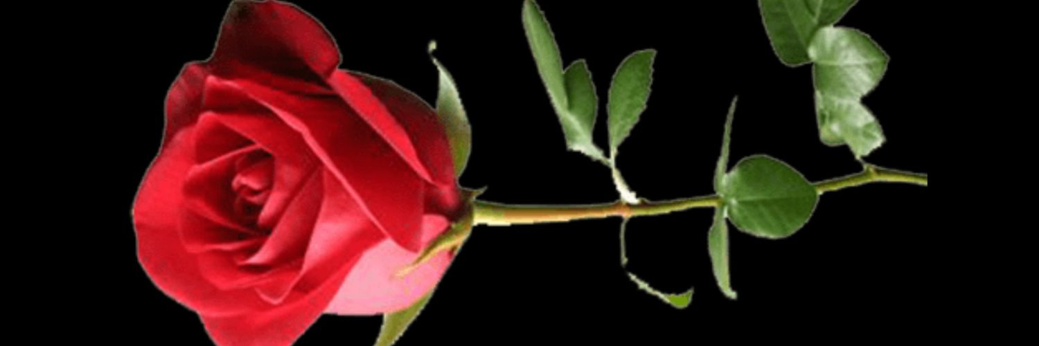 CHandDashSDTeam's profile banner image