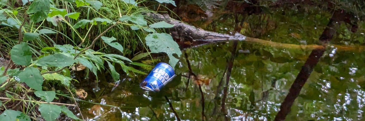 rag_thyme_gal's profile banner image