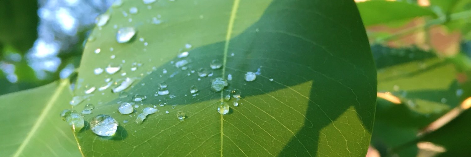 anubharora's profile banner image