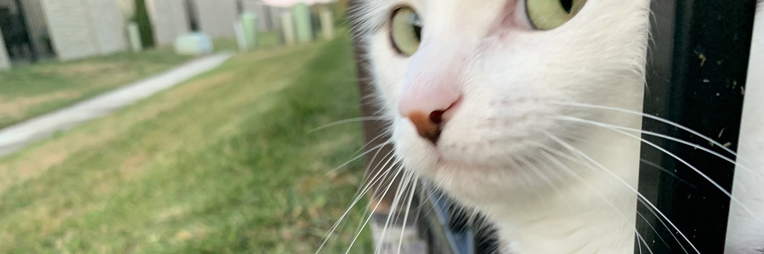 MissKelly_C's profile banner image