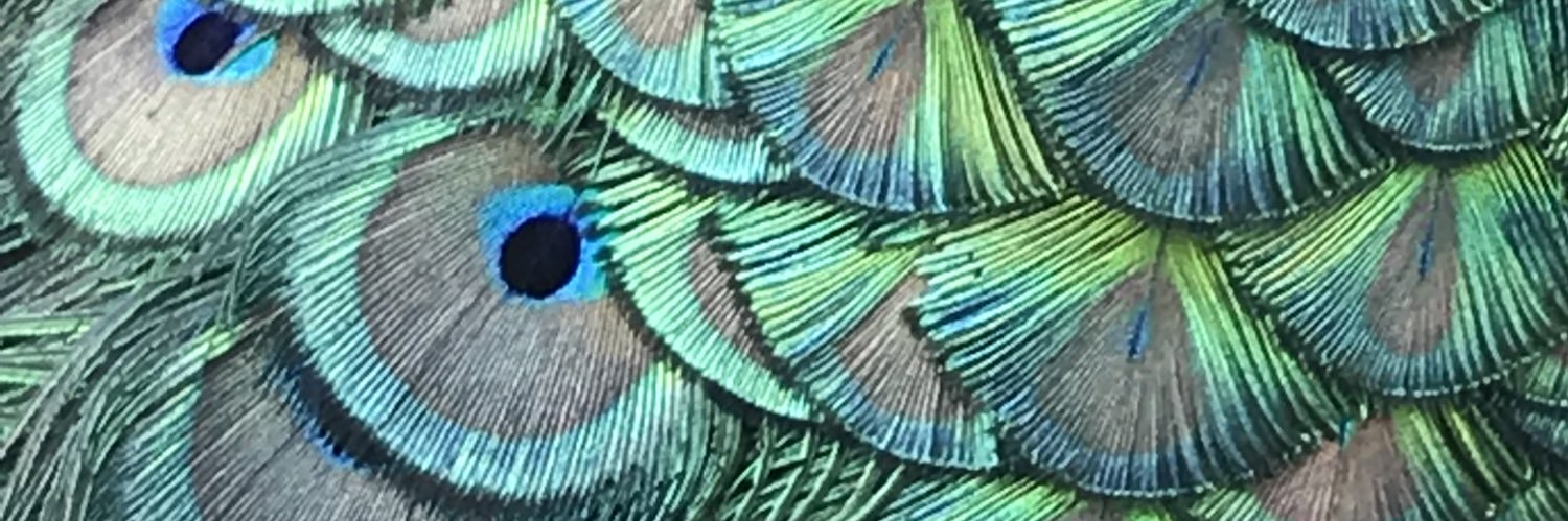 soleildemarseil's profile banner image