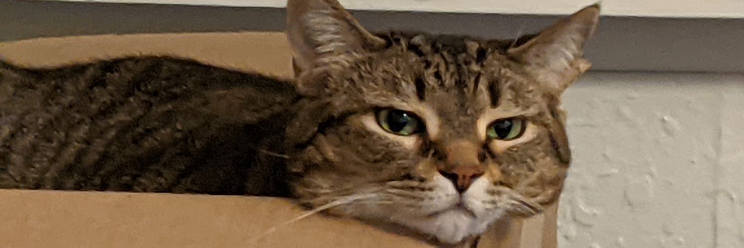 serfrock's profile banner image