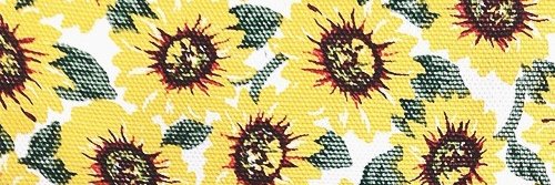 MsJoLevin's profile banner image