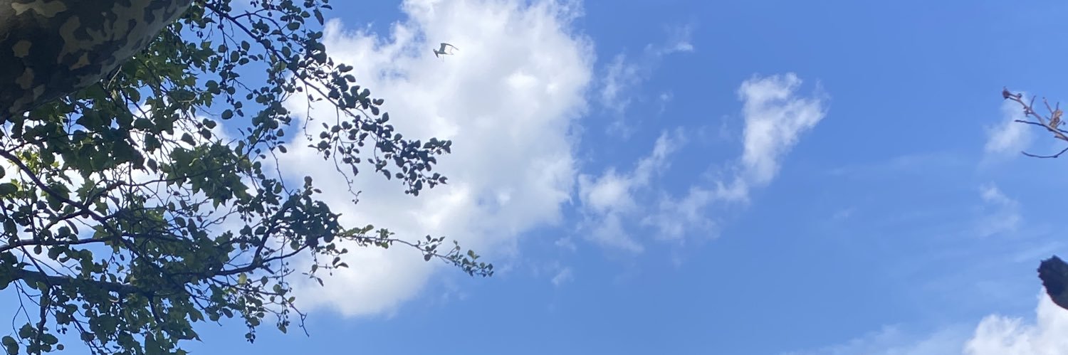 laietus's profile banner image