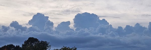 WorldofFirmatus Profile Banner