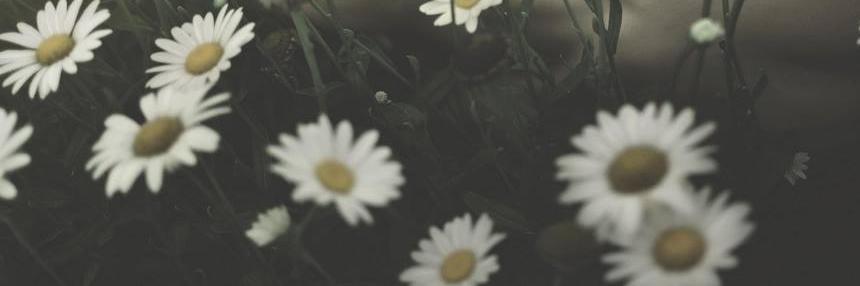 FabiolaLuna25's profile banner image