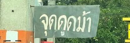 บู่บู๋'s banner