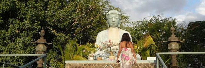ForceKali's profile banner image
