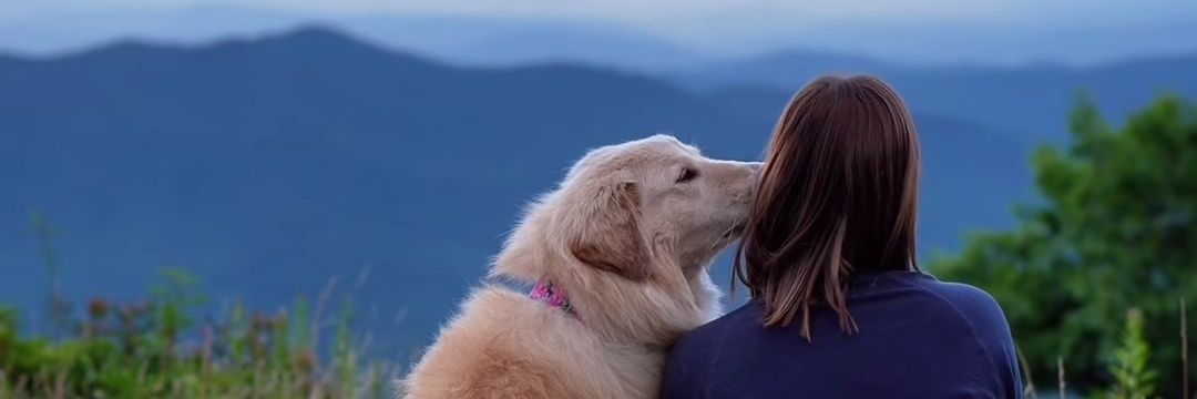 Homel28's profile banner image