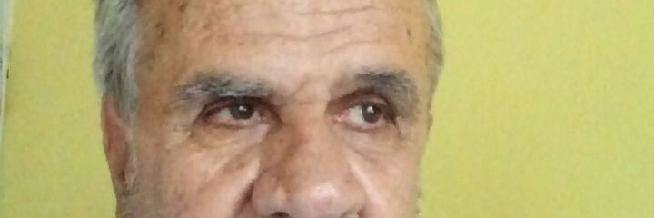 391Ipek's profile banner image