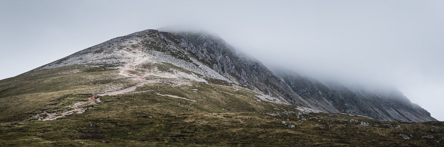 theWildCut's profile banner image