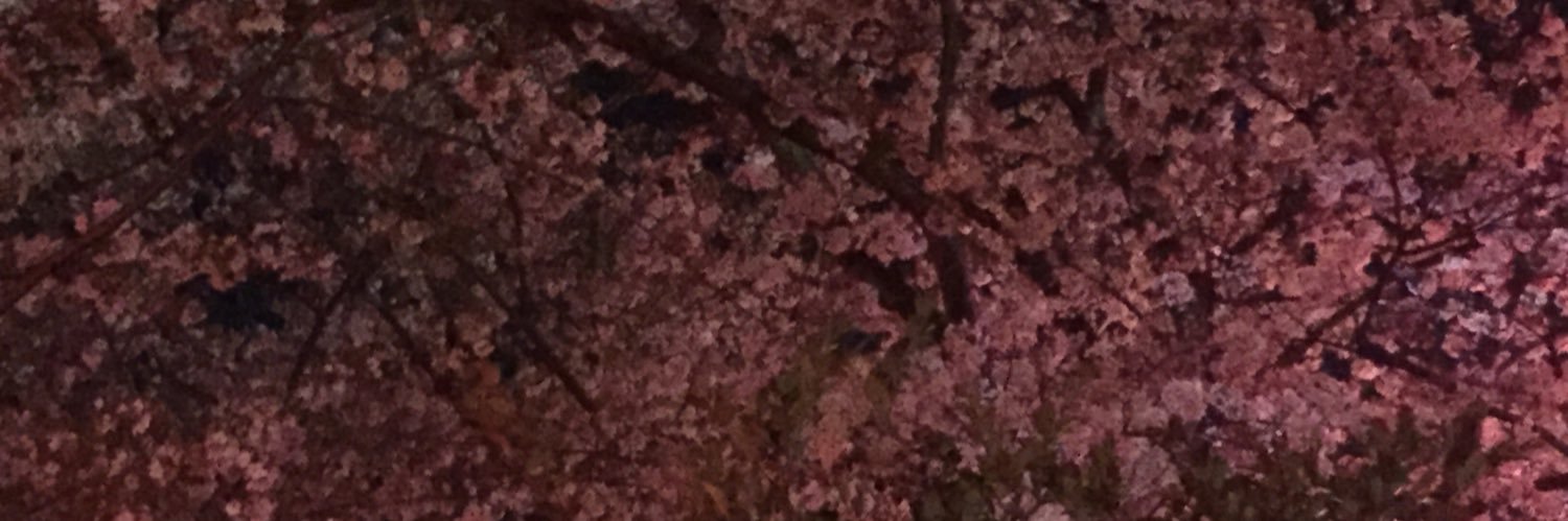 たぴおかー banner