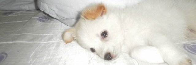 거대똘깅⚾️ banner