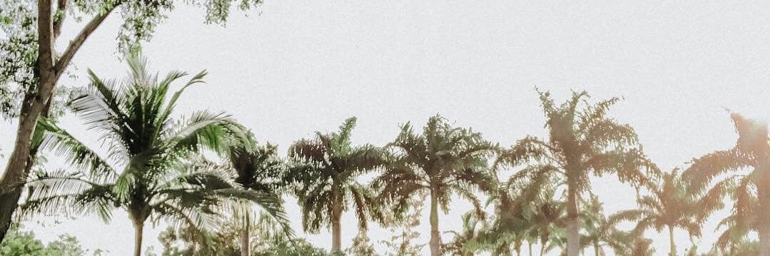 LakhdarCoaching's profile banner image