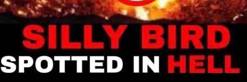 opilabirdfan26 banner