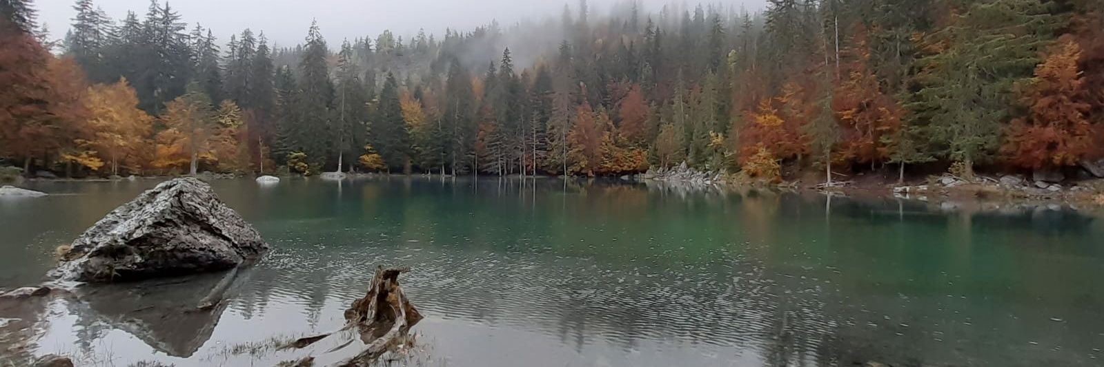 Jérémy 'ByeGeek' R. banner