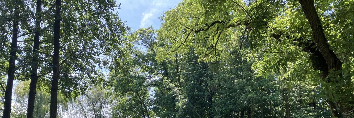 🍋 banner