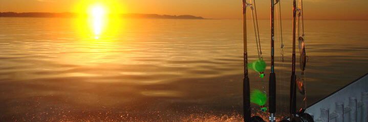 rok56's profile banner image