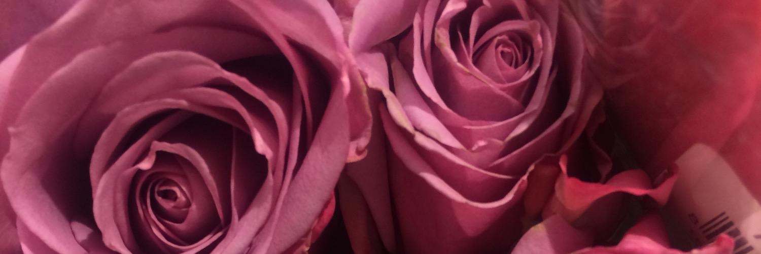 _danielleex0x3's profile banner image