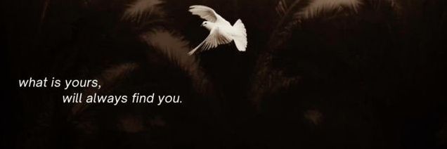 𝓐. banner