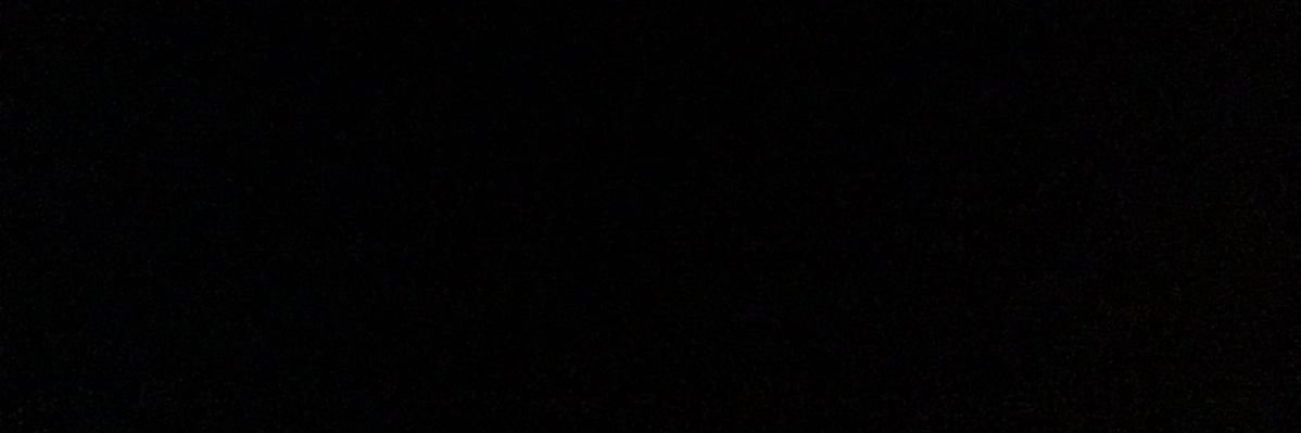 evie banner