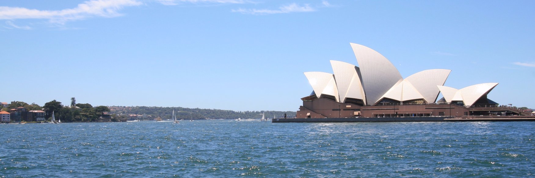 Jonathan Mendel banner