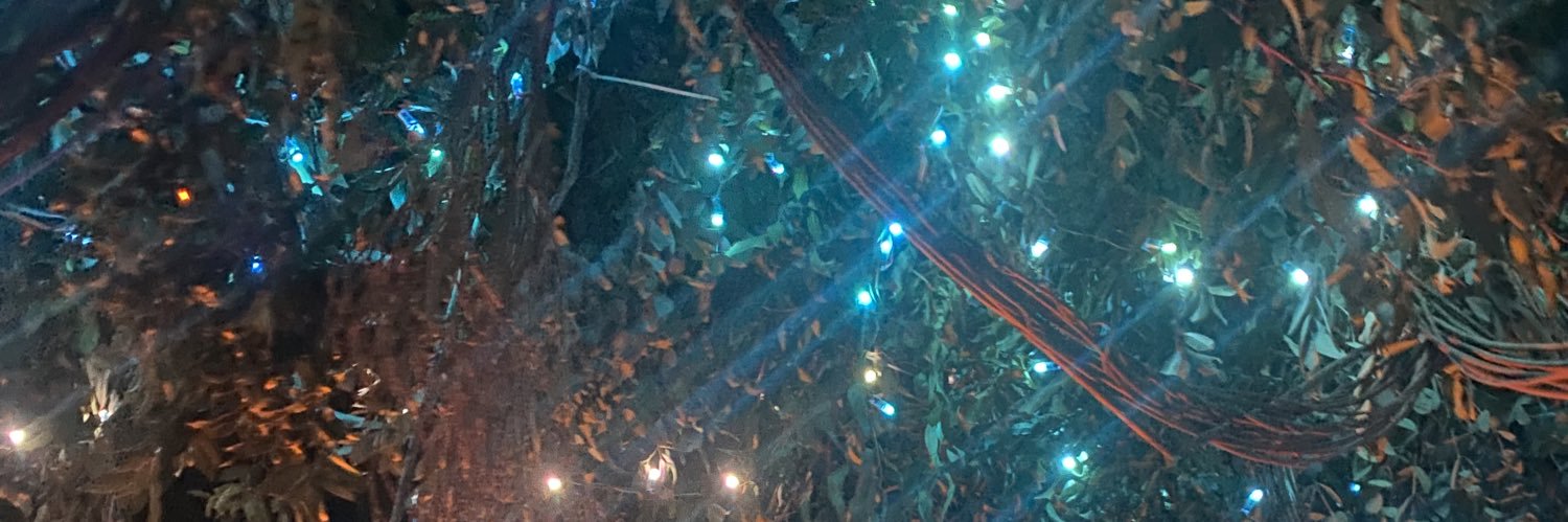 ronchataa's profile banner image
