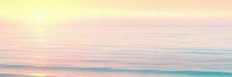 Rainforest banner