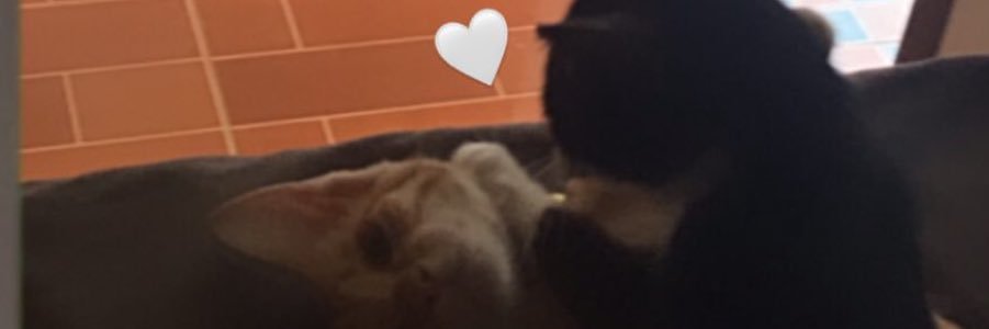 pie155c's profile banner image