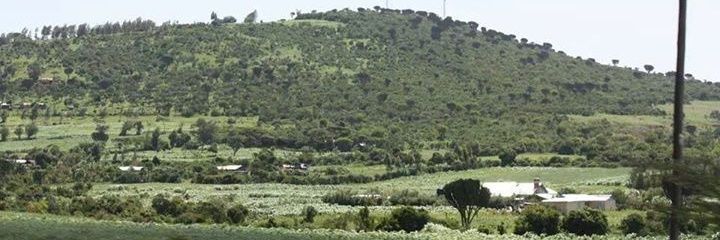 habelmutahi's profile banner image