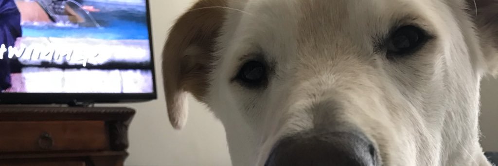 Janessa banner