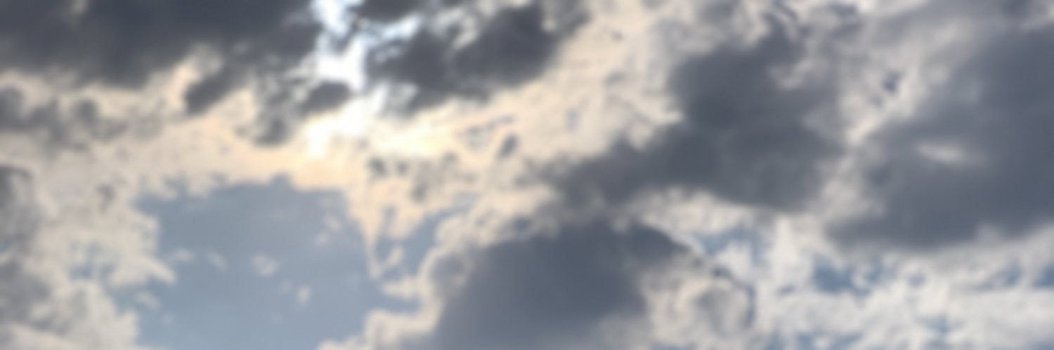 SenaDemiral's profile banner image