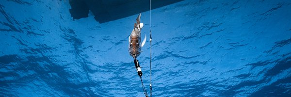 ReturnEmRight Profile Banner