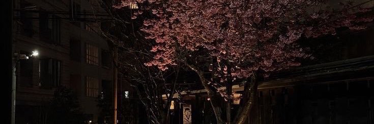 xiilej's profile banner image