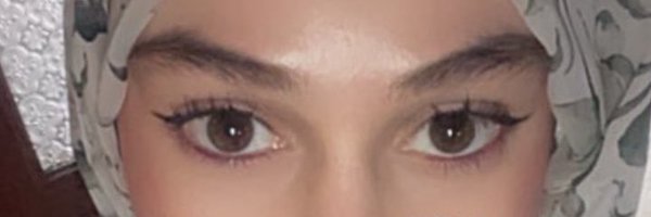 janemerva Profile Banner