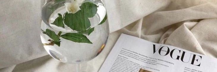 シ︎sᴛᴇʟʟᴀ banner